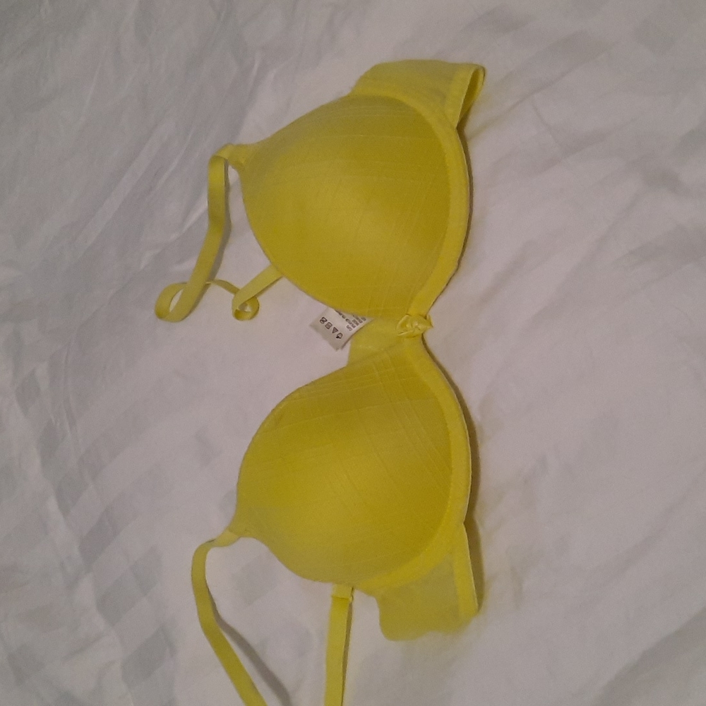 Vassarette Bra